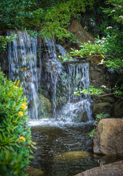 Chip Bunnell Photography Waterfalls Boca Raton Florida