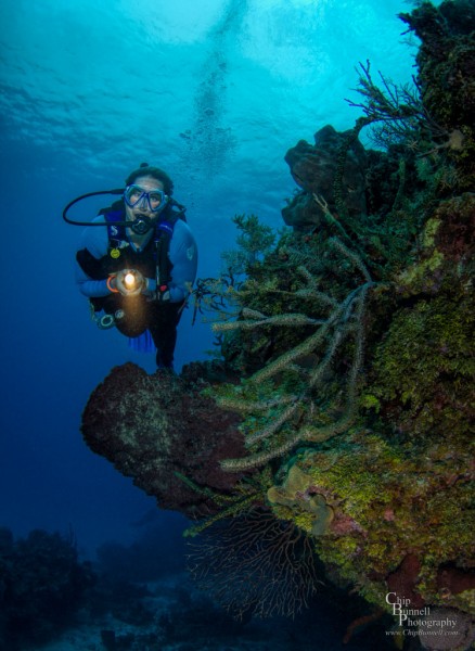 Chip Bunnell Photography of diver on underwater turtle reef in Grand Cayman