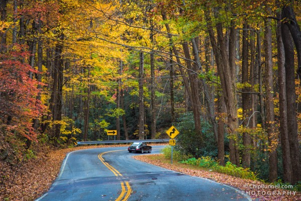 Windy Fall Road by Chip Bunnell Photography