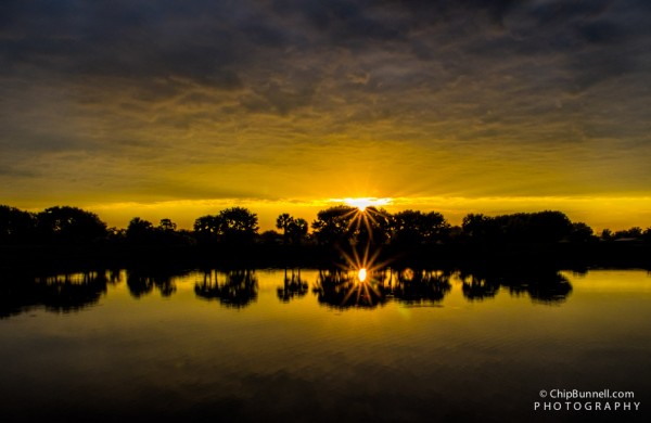 Wakodahatchee Sunrise by Chip Bunnell Photography