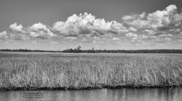 Everglades in Black and White by Chip Bunnell Photography