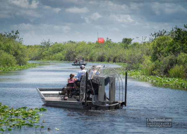 Airboat in the Everglades by Chip Bunnell Photography